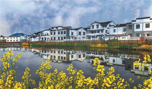 1641884188348987.jpg 13544053350098992713.jpg