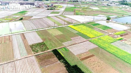 广水市2023年度高标准农田建设峰山等10个村新增千亿斤粮食生产能力规划田间工程(改造提升)项目(余店镇芦庙村)九标
